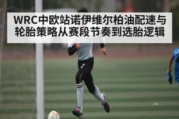 WRC中欧站诺伊维尔柏油配速与轮胎策略从赛段节奏到选胎逻辑